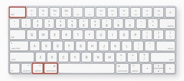 thoát khỏi ứng dụng khiến Macbook bị treo